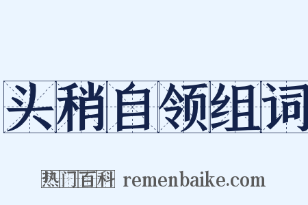 头稍自领组词是什么意思的图片